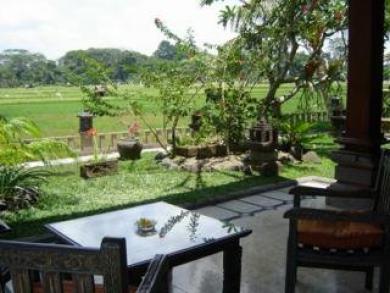 Green Field Hotel And Bungalow Ubud  Ngoại thất bức ảnh